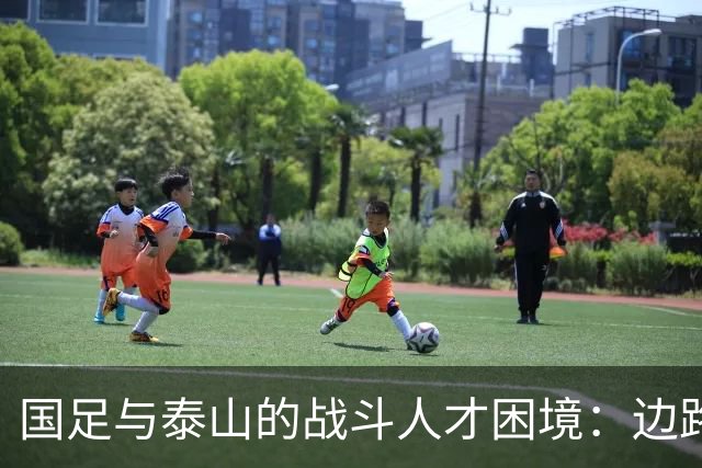 国足与泰山的战斗人才困境：边路充盈，中场与中锋短缺窘境